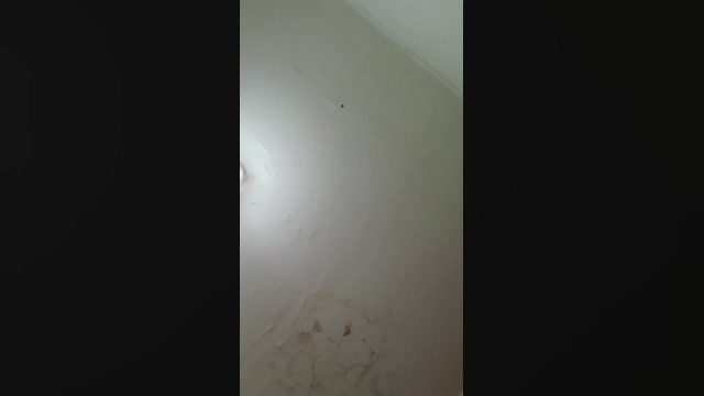 sigilo_total1  24-02-2022